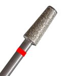 Broca Forms Cutícula Tronco