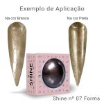 Shine Forms - Imagem 6